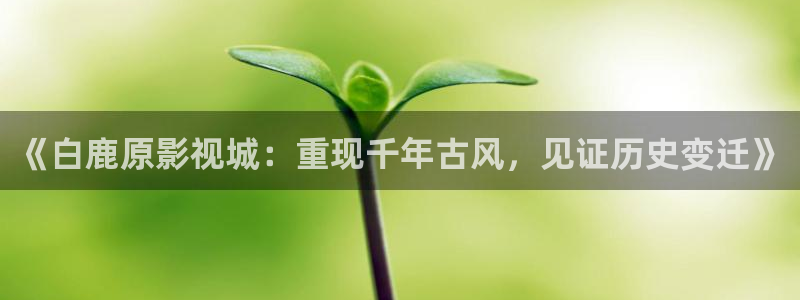 nc18嫩草5n08影院