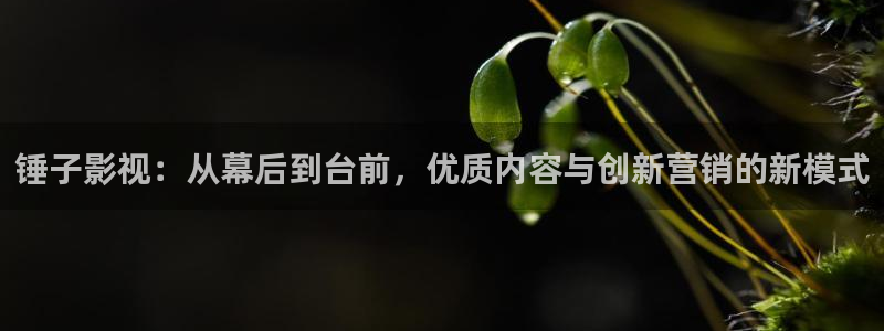 nc18嫩草5n08影院