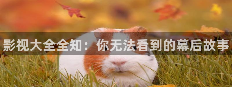 嫩草影院.com：影视大全全知：你无法看到的幕后故事