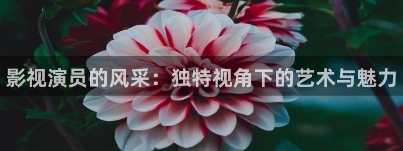 www.嫩草影院com：影视演员的风采：独特视角下的艺术与魅力